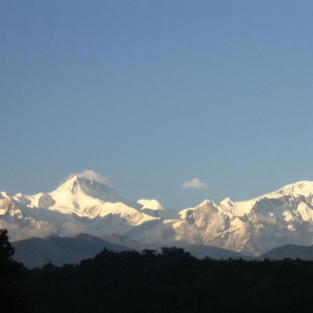 Pokhara Palace Hotel Eksteriør bilde